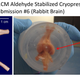 Image for article titled Brain Preservation Breakthrough Could Usher in a New Era in Cryonics